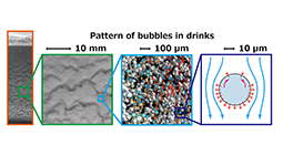 コップの中に見える泡と物理 18 最新研究情報 大阪大学 基礎工学部 大学院基礎工学研究科 School Graduate School Of Engineering Science